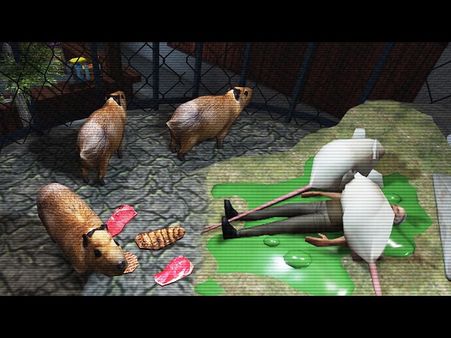 Something Is Very Wrong At This City Zoo