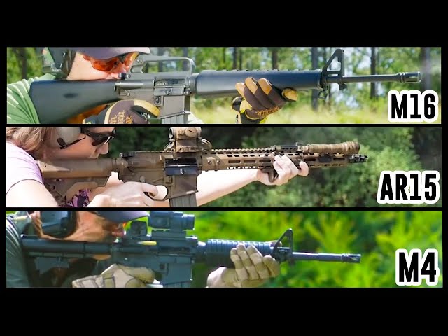 What Is the Difference Between the AR15, M4, and M16?