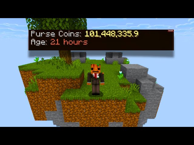 Can I get 100m in under 24 HOURS on a New Profile? (Hypixel Skyblock)