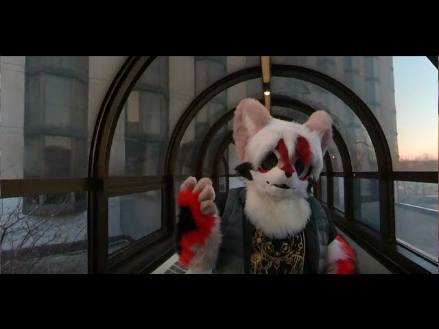 [4k 360 VR] 1km Hallway at MFF?! Midwest Furfest Convention Hotel Walkthrough and Commentary