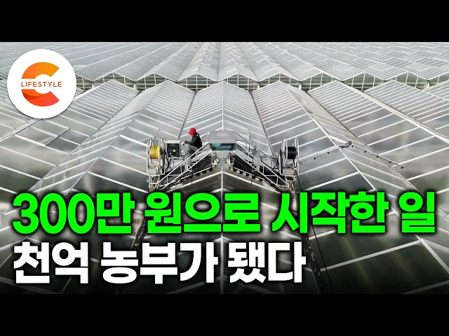 30대 중반에 시작한 농사, 연 매출 750억 농부가 됐다. “농부도 부자 될 수 있습니다” 5만 평 땅에 토마토와 쌈채소만 키우는 농부의 성공 비결ㅣ서장훈의이웃집백만장자