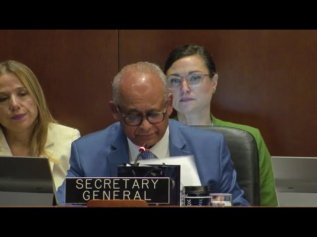 2026 AUG 12 Special Meeting of the Permanent Council