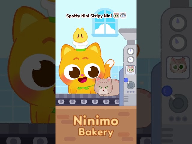 100 Ninimos Bakery is Open 🥐👩‍🍳 #ninimo #calicocat #tabbycat #gingercat