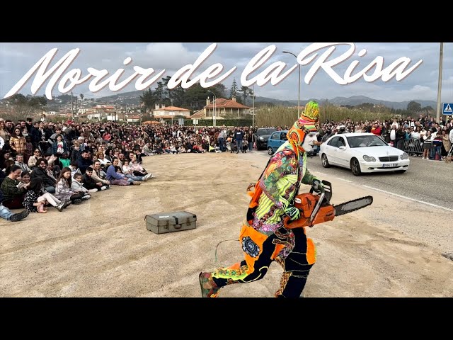 Karcocha en Galicia - Nigran - España 🇪🇸 03/2024