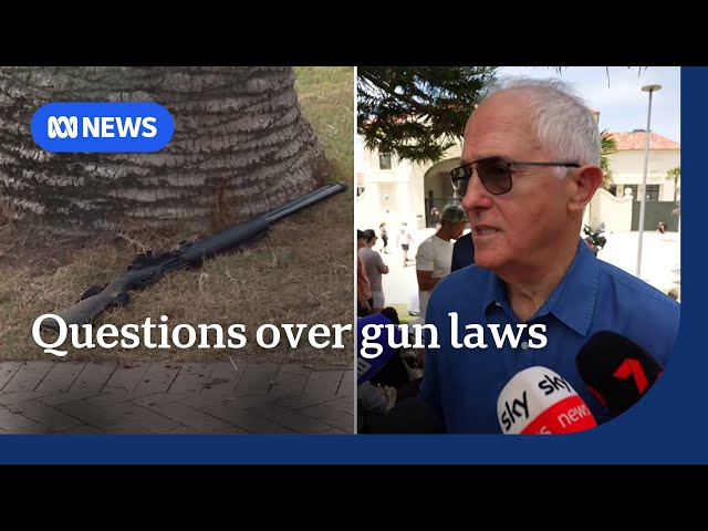 Turnbull says there are questions over gun laws after Bondi terror attack | ABC NEWS