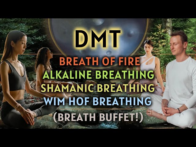 [BREATH BUFFET!] DMT Breathing - 60s Breathholds (3 Guided Rounds)