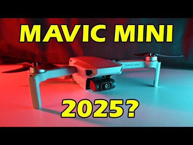DJI Mavic Mini Worth It ? - 10 things you NEED to Know!