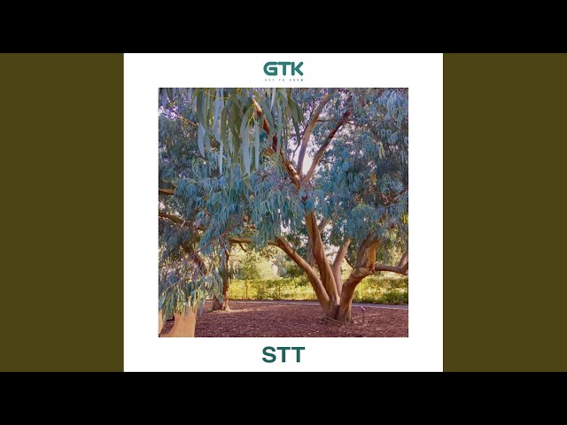 STT (Extended)