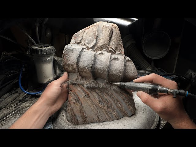Ichthyosaur Ribcage: We Cleaned Ancient Marine Reptile Fossils - 185 Million Years Old! 