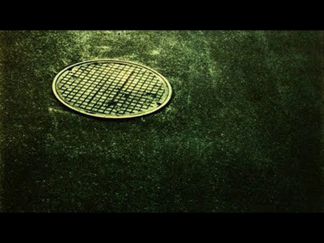 ZAIRE - ISLA DE JAVA [Creative Commons Music] 🔴