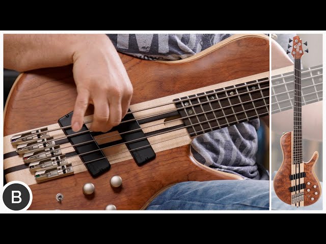 CORT ARTISAN A5 BEYOND MULTISCALE