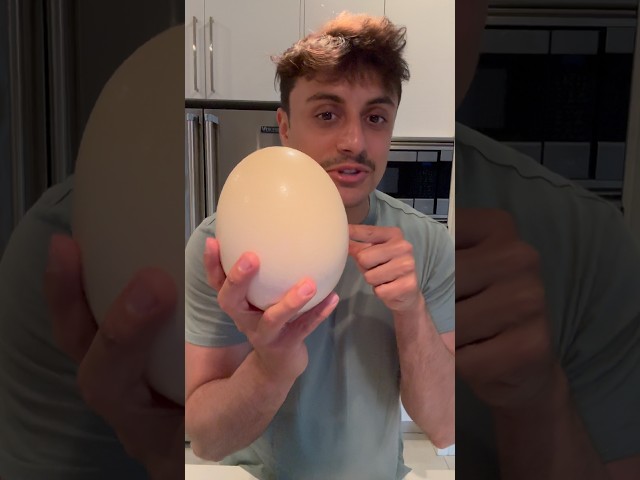 Cooking The World’s Largest Egg (Ostrich Egg)