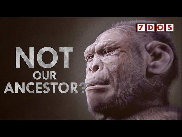 This Discovery Just Rewrote Human Evolution