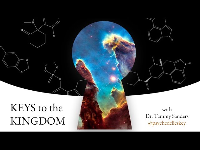 Henri Sant-Cassia: Access and Psychedelic Capitalism