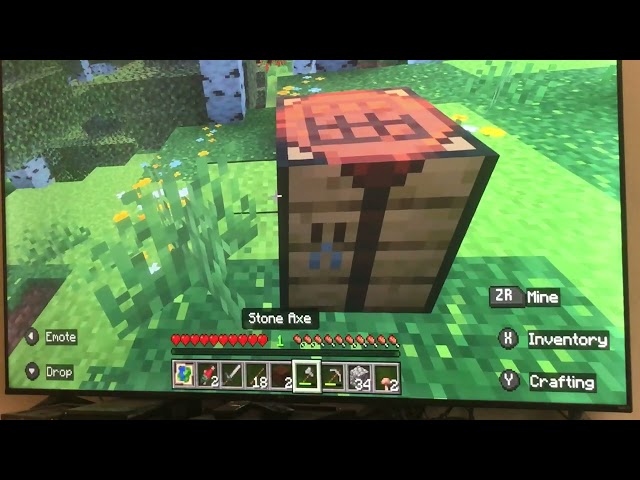 Minecraft Closed Beta for Switch 2 | Survival Gameplay Test with Vibrant Visuals Part 6