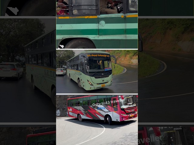 TNSTC vs SETC vs Private Bus | Who Handles the Hairpin Best? 😱