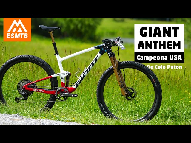 Giant Anthem de Cole Paton, una de las mejores personalizaciones de 2024