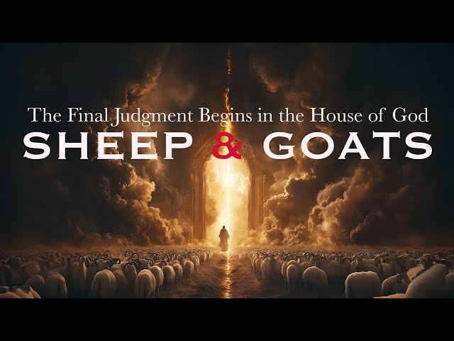 Part 2 - The Great Separation: Discerning the Sheep from the Goats