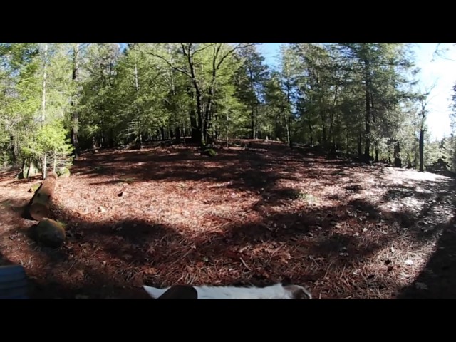 Virtual Reality 3D Bong Rip Outside with Nay - Scroll Around To See EVERYTHING!