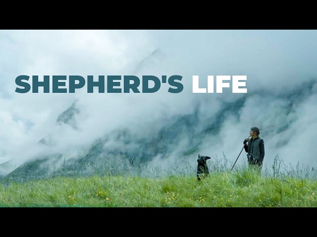 Living in the Swiss Alps | One With Nature