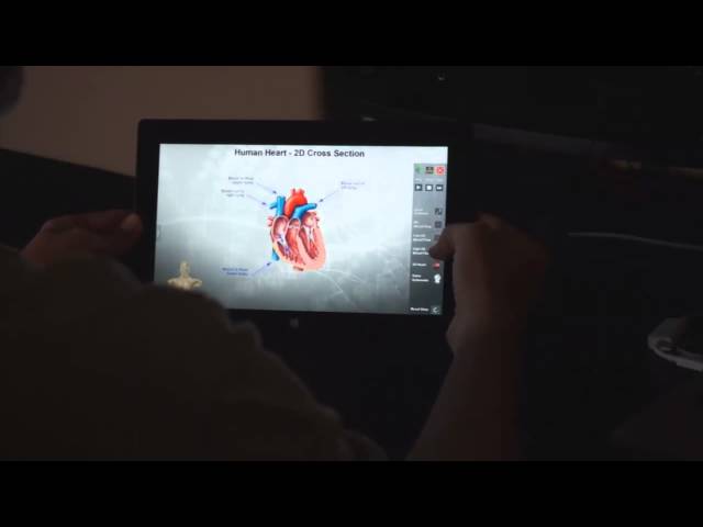 Perceptual Computing in Education