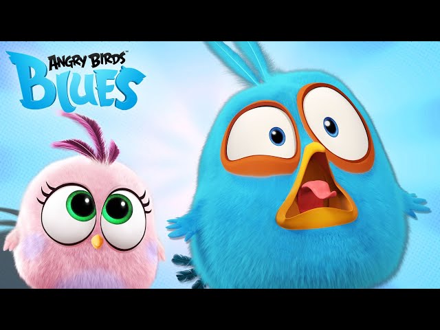 Angry Birds Blues | The Blues' Craziest Fails! 🤣