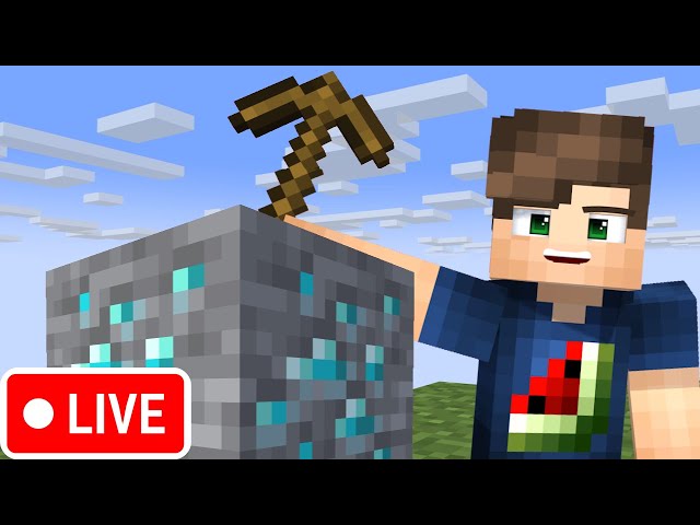 Communtiy Sever🌍  Java/Bedrock ⛏️Jeder kann mit Spielen!!! #Minecraftlive