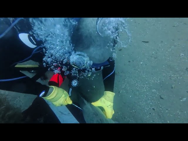 Late Season Gag Grouper Hunt 7-26-26 Dive 2