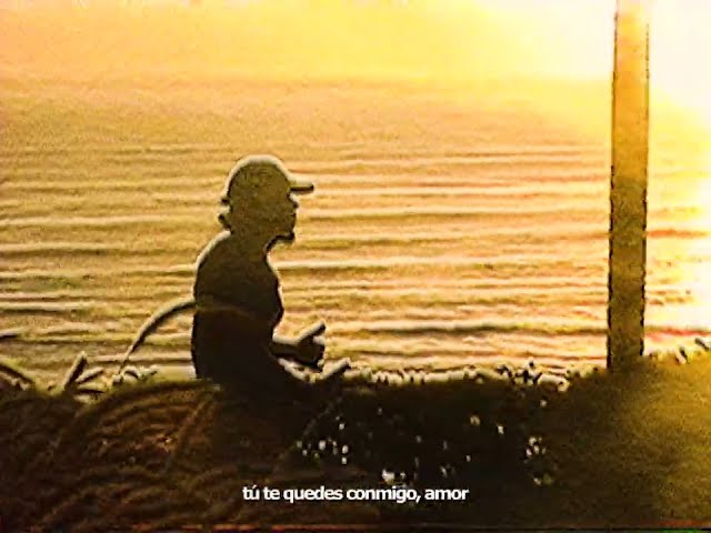 ONCE, VALERIA, Heavy Coste - Cuando el sol se va (Visualizer)