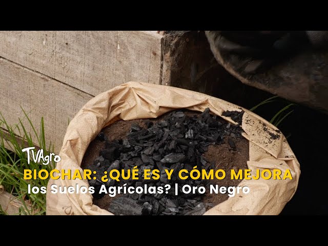 Biochar: What Is It and How Does It Improve Agricultural Soils? | Black Gold - TvAgro by Juan Gon...