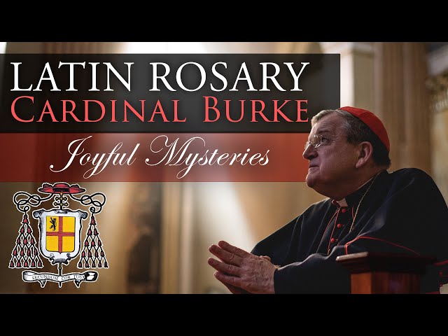 Pray the Rosary in Latin with Cardinal Burke (Joyful Mysteries)