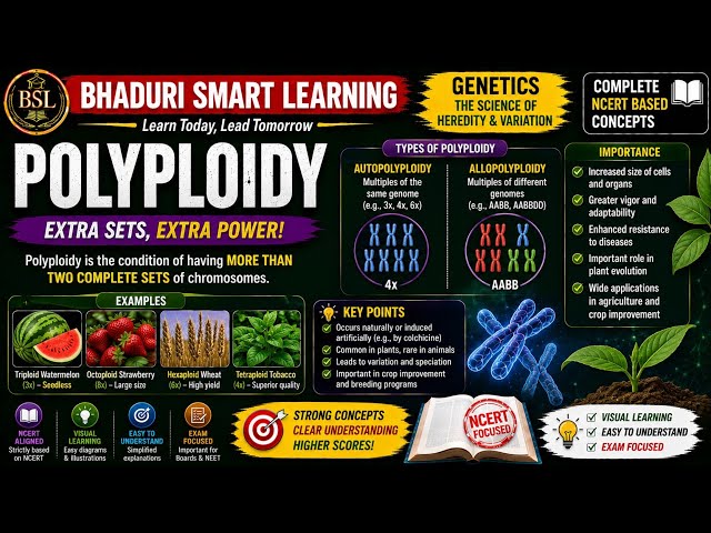 Polyploidy NCERT
