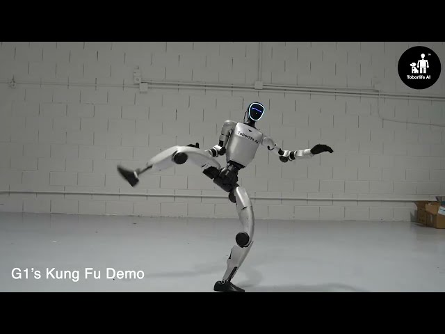 Unitree G1 Edu Plus Humanoid Robot Demo | Toborlife AI