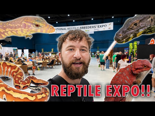 Exploring Floridas LARGEST Reptile Expo!! (NRBE Daytona 2026)