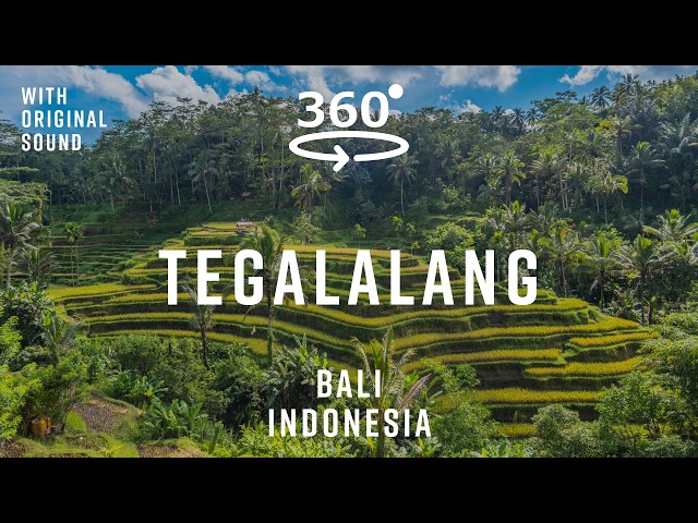 Tegalalang Rice Terrace – Bali, Indonesia 🇮🇩 | 360° Walking Tour | Original Sound