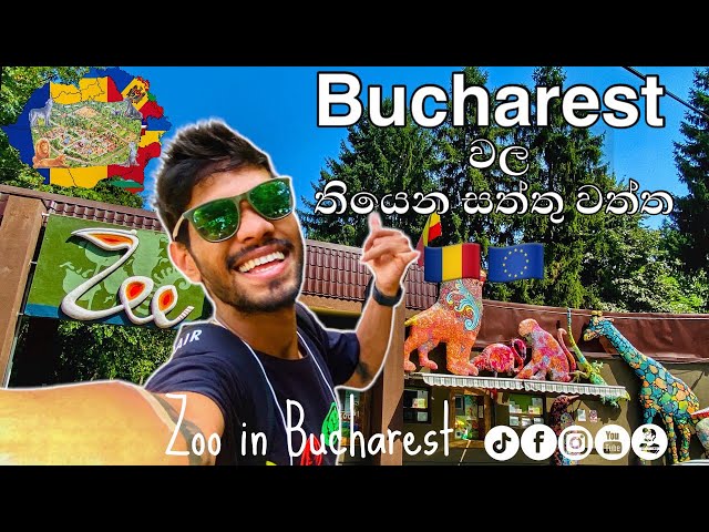 Romania  Bucharest zoo (grădină zoologică )4Kvideo  mobilevideography @DESHBRO96