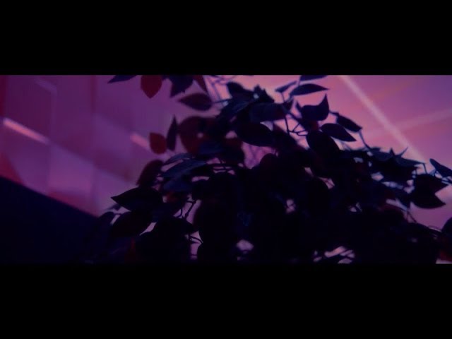 SECTOR - Банановый блант (prod.KIDD)