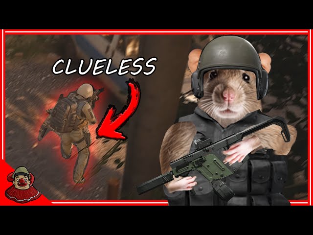 RATTING FARM in ARENA BREAKOUT INFINITE !!!