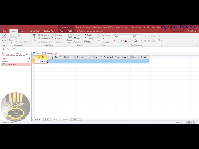 Using SQL Insert Command in Microsoft  Access