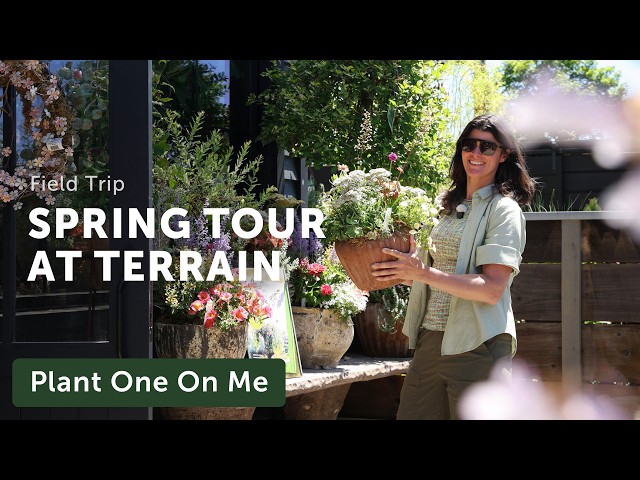 SPRING Tour at TERRAIN's Plant Shop in Devon, PA — Ep. 443