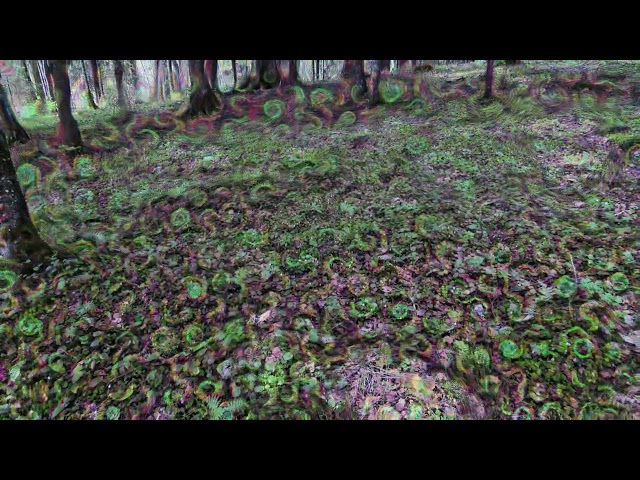 Psychedelic Replication Contest Winner "Forest Synesthesia" (by Symmetric Vision)