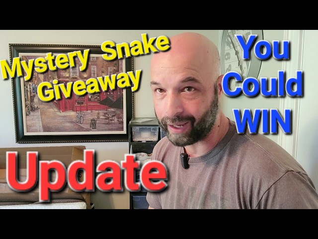 Mystery Clutch GIVEAWAY Update Video. Enter To WIN!!!