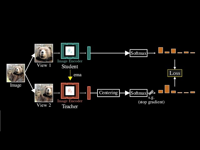How AI Taught Itself to See [DINOv3]