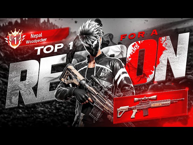 HOW WOODPECKER TOP 1 PLAYER PLAYS ?