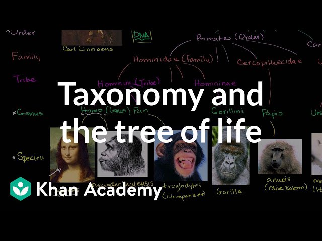 Taxonomy and the Tree of Life