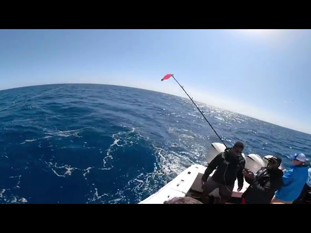 NFLPlayer Fishing in the Florida Keys in Full 360VR By AH360