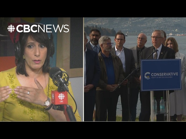 How to make sense of B.C.'s snap provincial election