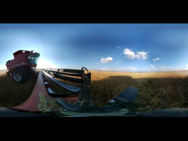 LG 360 CAM wheat harvest video - right side of header #vzreview