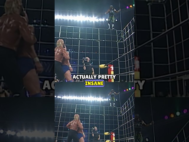 MACHO MAN’S CAGE DIVE BOTCH #wwe #aew #wrestling #podcast #wrestler #comedy #wweraw