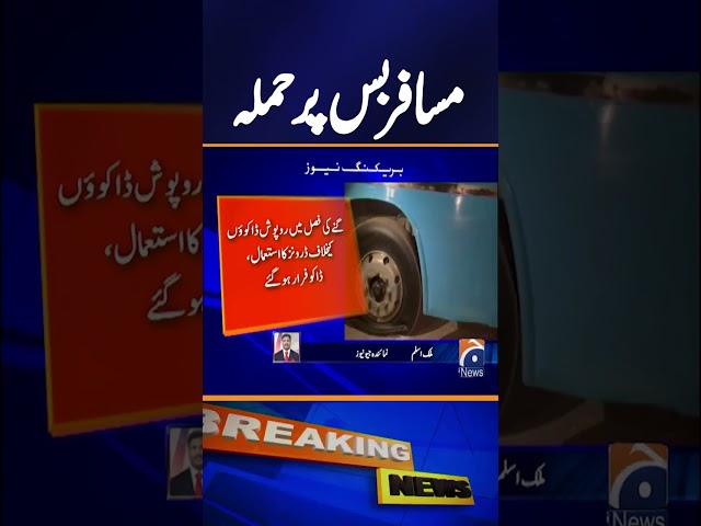 Robbers Attack Passenger Bus on Guddu-Kashmore Road in Ghotki | Breaking News